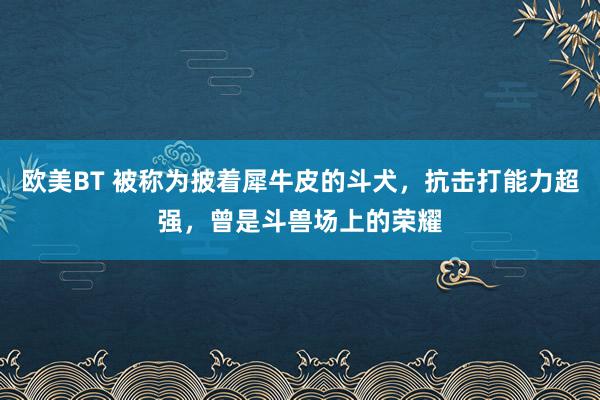 欧美BT 被称为披着犀牛皮的斗犬，抗击打能力超强，曾是斗兽场上的荣耀