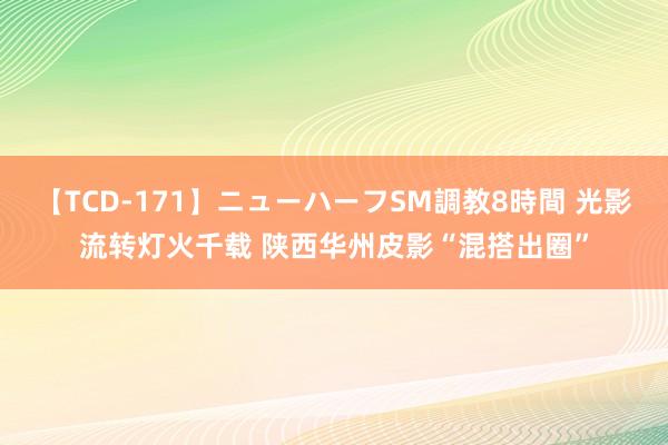 【TCD-171】ニューハーフSM調教8時間 光影流转灯火千载 陕西华州皮影“混搭出圈”