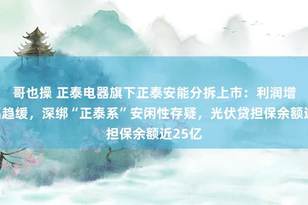 哥也操 正泰电器旗下正泰安能分拆上市：利润增速大幅趋缓，深绑“正泰系”安闲性存疑，光伏贷担保余额近25亿