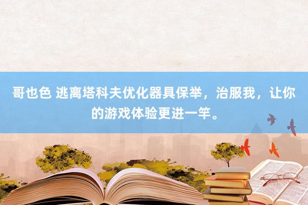 哥也色 逃离塔科夫优化器具保举，治服我，让你的游戏体验更进一竿。