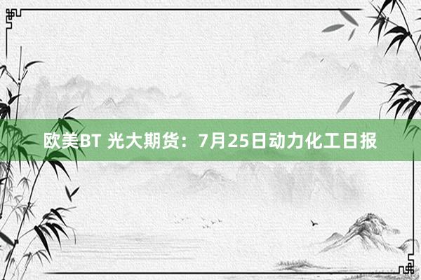 欧美BT 光大期货：7月25日动力化工日报