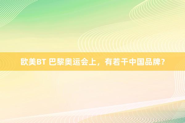 欧美BT 巴黎奥运会上，有若干中国品牌？