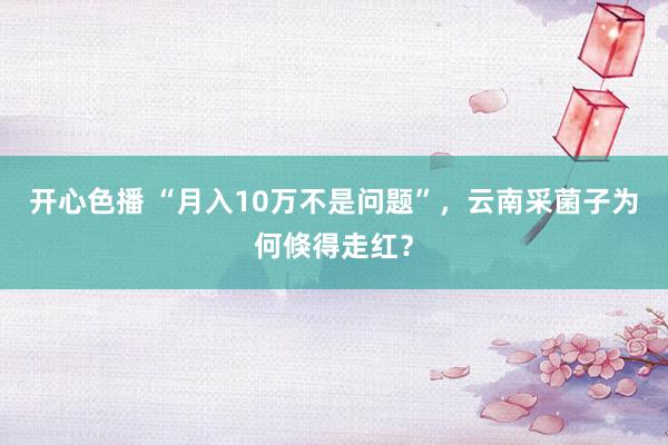 开心色播 “月入10万不是问题”，云南采菌子为何倏得走红？