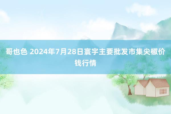 哥也色 2024年7月28日寰宇主要批发市集尖椒价钱行情