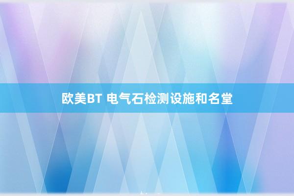 欧美BT 电气石检测设施和名堂