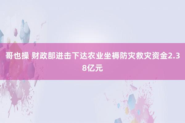 哥也操 财政部进击下达农业坐褥防灾救灾资金2.38亿元