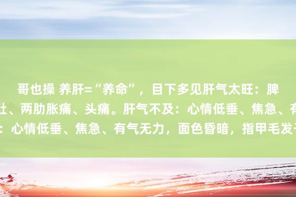 哥也操 养肝=“养命”，目下多见肝气太旺：脾性急、偏头痛、腹胀泻肚、两肋胀痛、头痛。肝气不及：心情低垂、焦急、有气无力，面色昏暗，指甲毛发干枯。