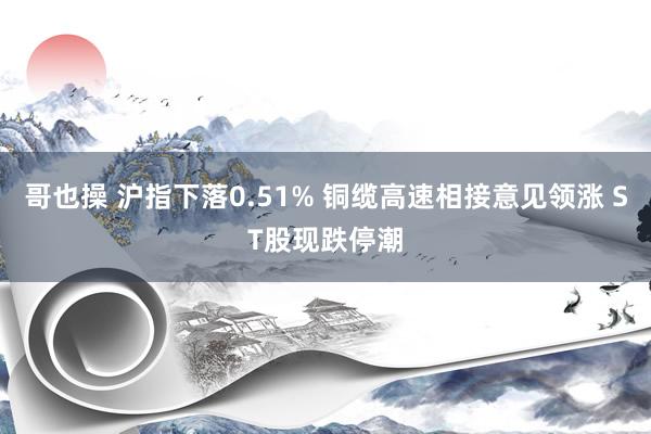 哥也操 沪指下落0.51% 铜缆高速相接意见领涨 ST股现跌停潮