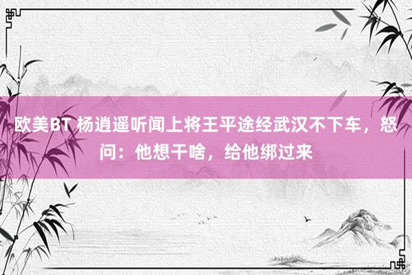 欧美BT 杨逍遥听闻上将王平途经武汉不下车，怒问：他想干啥，给他绑过来