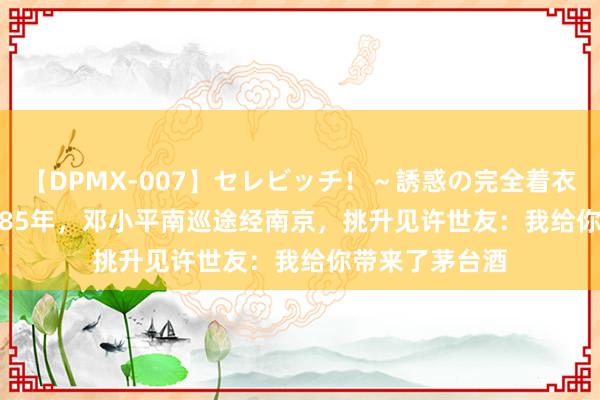 【DPMX-007】セレビッチ！～誘惑の完全着衣～ KAORI 1985年，邓小平南巡途经南京，挑升见许世友：我给你带来了茅台酒