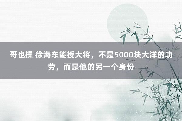 哥也操 徐海东能授大将，不是5000块大洋的功劳，而是他的另一个身份