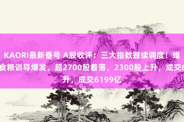 KAORI最新番号 A股收评：三大指数握续调度！维生素、食粮训导爆发，超2700股着落，2300股上升，成交6199亿