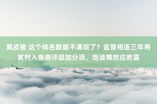 黑皮猪 这个排名数据不涌现了？监管相连三年将其列入券商评级加分项，饱读舞效应败露