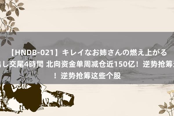 【HNDB-021】キレイなお姉さんの燃え上がる本物中出し交尾4時間 北向资金单周减仓近150亿！逆势抢筹这些个股