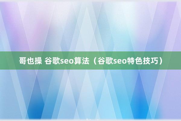 哥也操 谷歌seo算法（谷歌seo特色技巧）