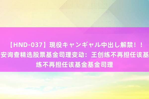 【HND-037】現役キャンギャル中出し解禁！！ ASUKA 诺安询查精选股票基金司理变动：王创练不再担任该基金基金司理