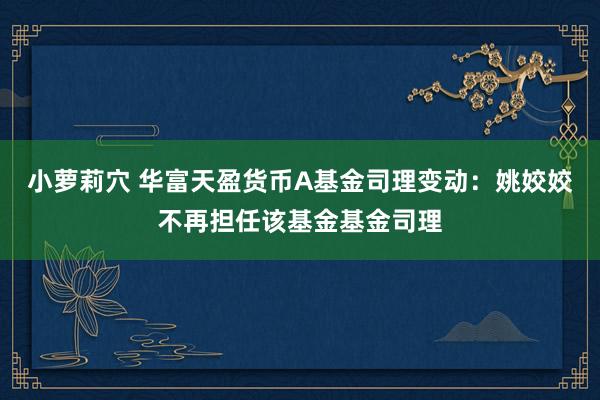 小萝莉穴 华富天盈货币A基金司理变动：姚姣姣不再担任该基金基金司理