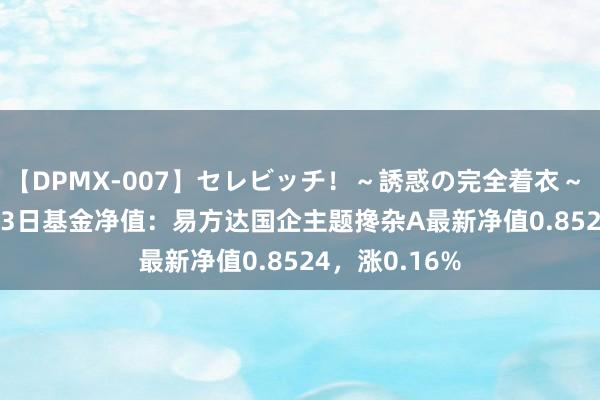 【DPMX-007】セレビッチ！～誘惑の完全着衣～ KAORI 8月23日基金净值：易方达国企主题搀杂A最新净值0.8524，涨0.16%