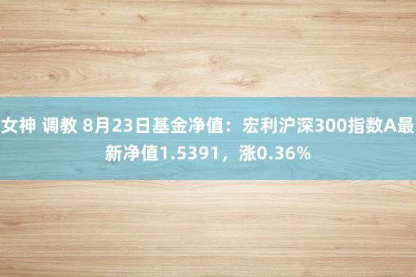 女神 调教 8月23日基金净值：宏利沪深300指数A最新净值1.5391，涨0.36%