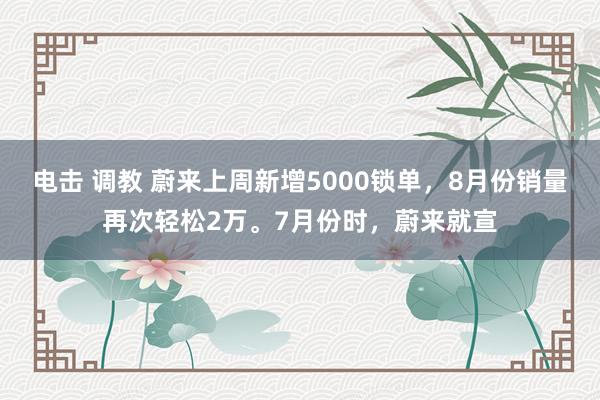 电击 调教 蔚来上周新增5000锁单，8月份销量再次轻松2万。7月份时，蔚来就宣