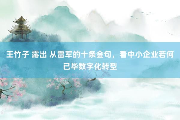 王竹子 露出 从雷军的十条金句，看中小企业若何已毕数字化转型