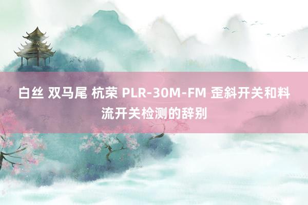 白丝 双马尾 杭荣 PLR-30M-FM 歪斜开关和料流开关检测的辞别