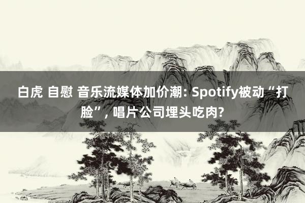 白虎 自慰 音乐流媒体加价潮: Spotify被动“打脸”, 唱片公司埋头吃肉?