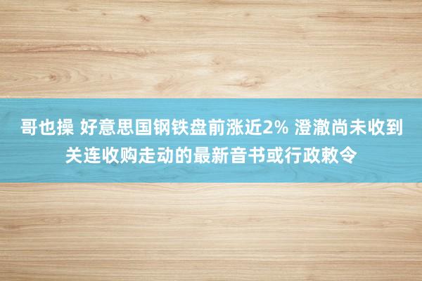 哥也操 好意思国钢铁盘前涨近2% 澄澈尚未收到关连收购走动的最新音书或行政敕令