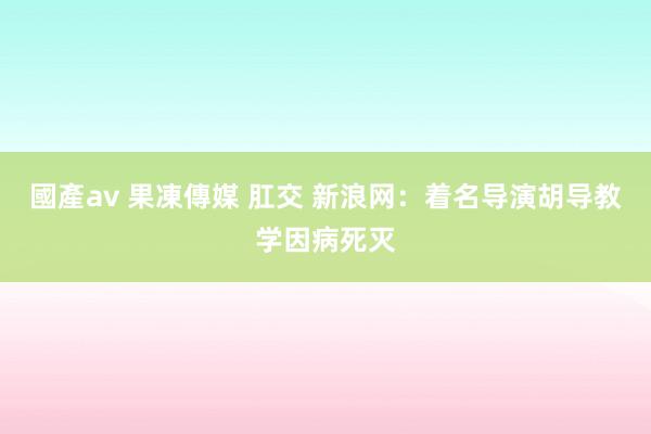 國產av 果凍傳媒 肛交 新浪网：着名导演胡导教学因病死灭