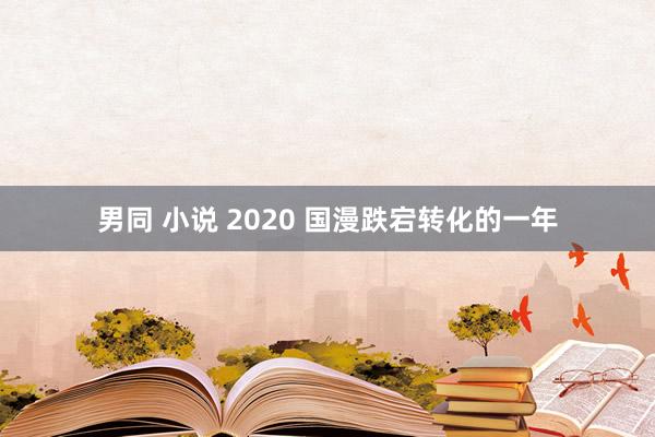 男同 小说 2020 国漫跌宕转化的一年