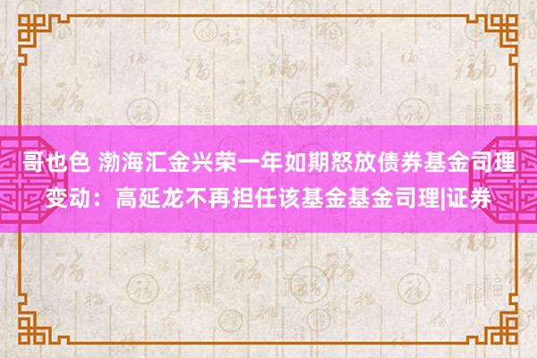 哥也色 渤海汇金兴荣一年如期怒放债券基金司理变动：高延龙不再担任该基金基金司理|证券